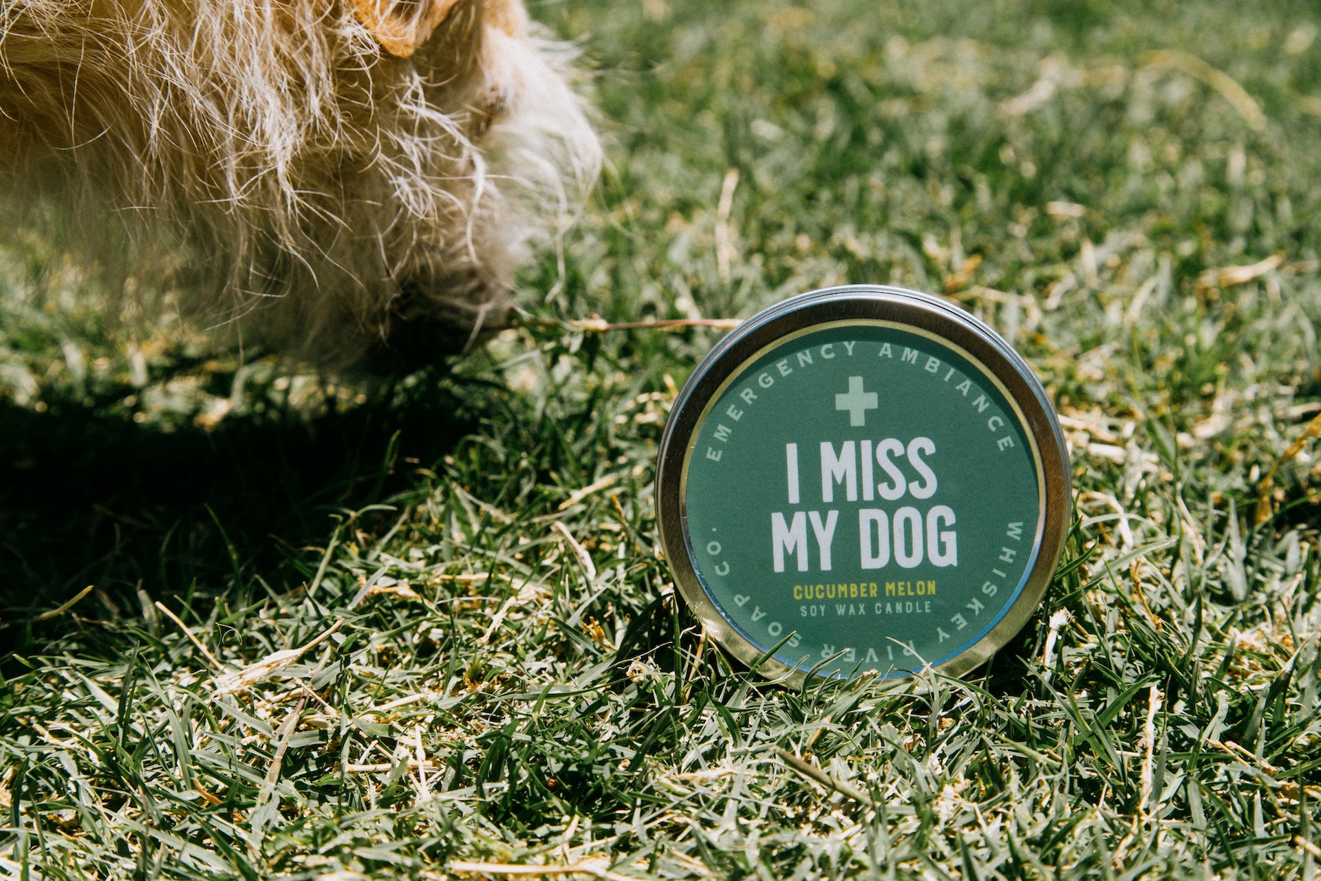 I Miss My Dog Emergency Ambiance Travel Tin