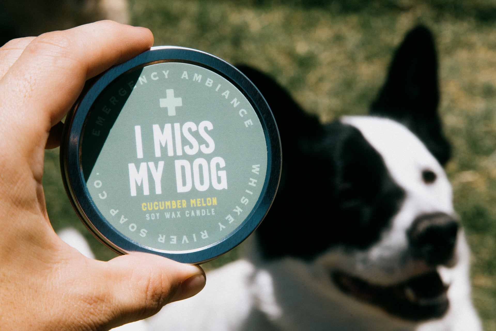 I Miss My Dog Emergency Ambiance Travel Tin