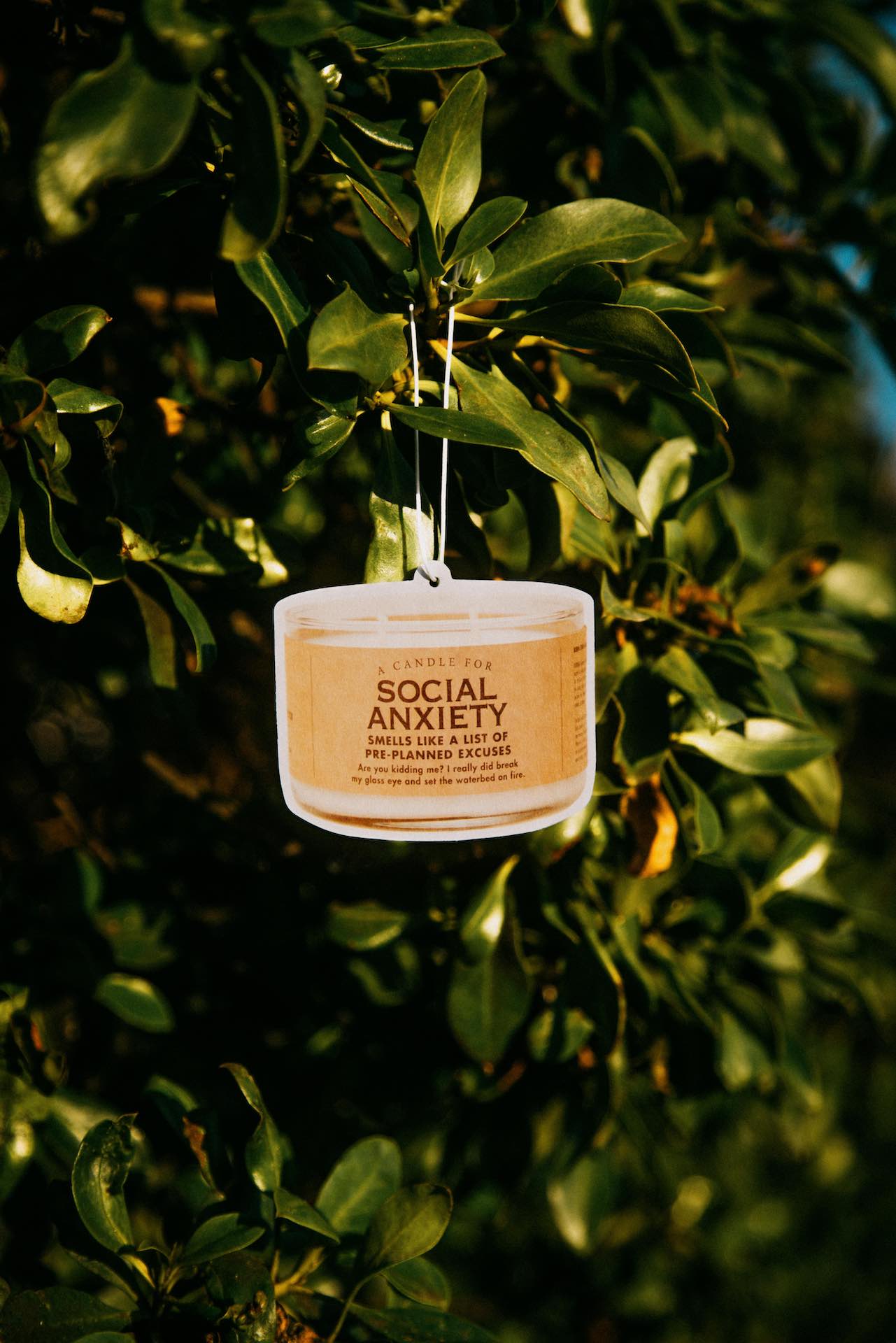 Social Anxiety Air Freshener