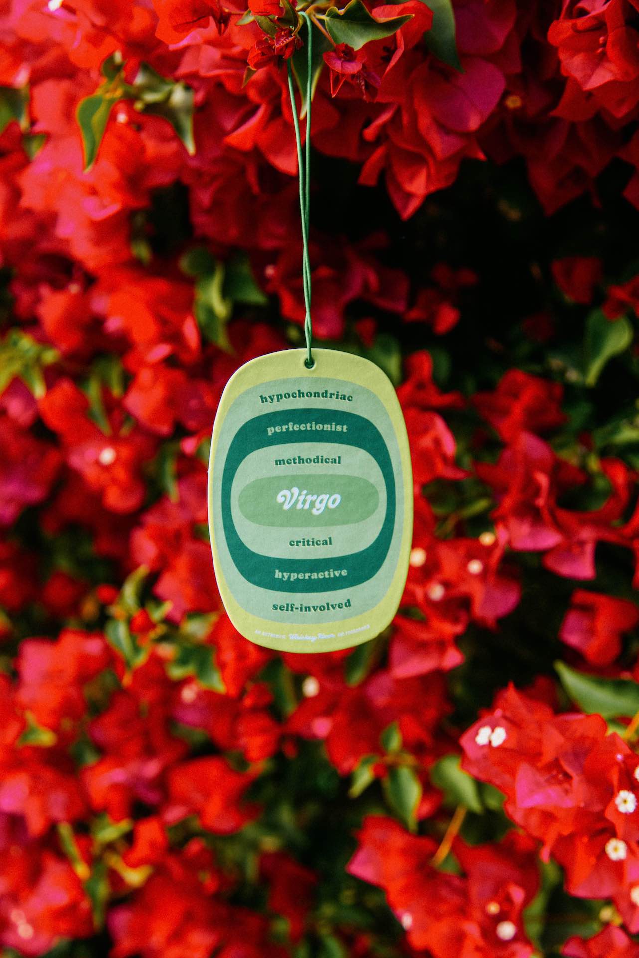 Virgo Astrology Air Freshener - Astrology Air Freshener